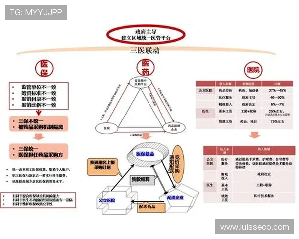 Saka 商业价值深度分析 Saka 商业价值深度分析